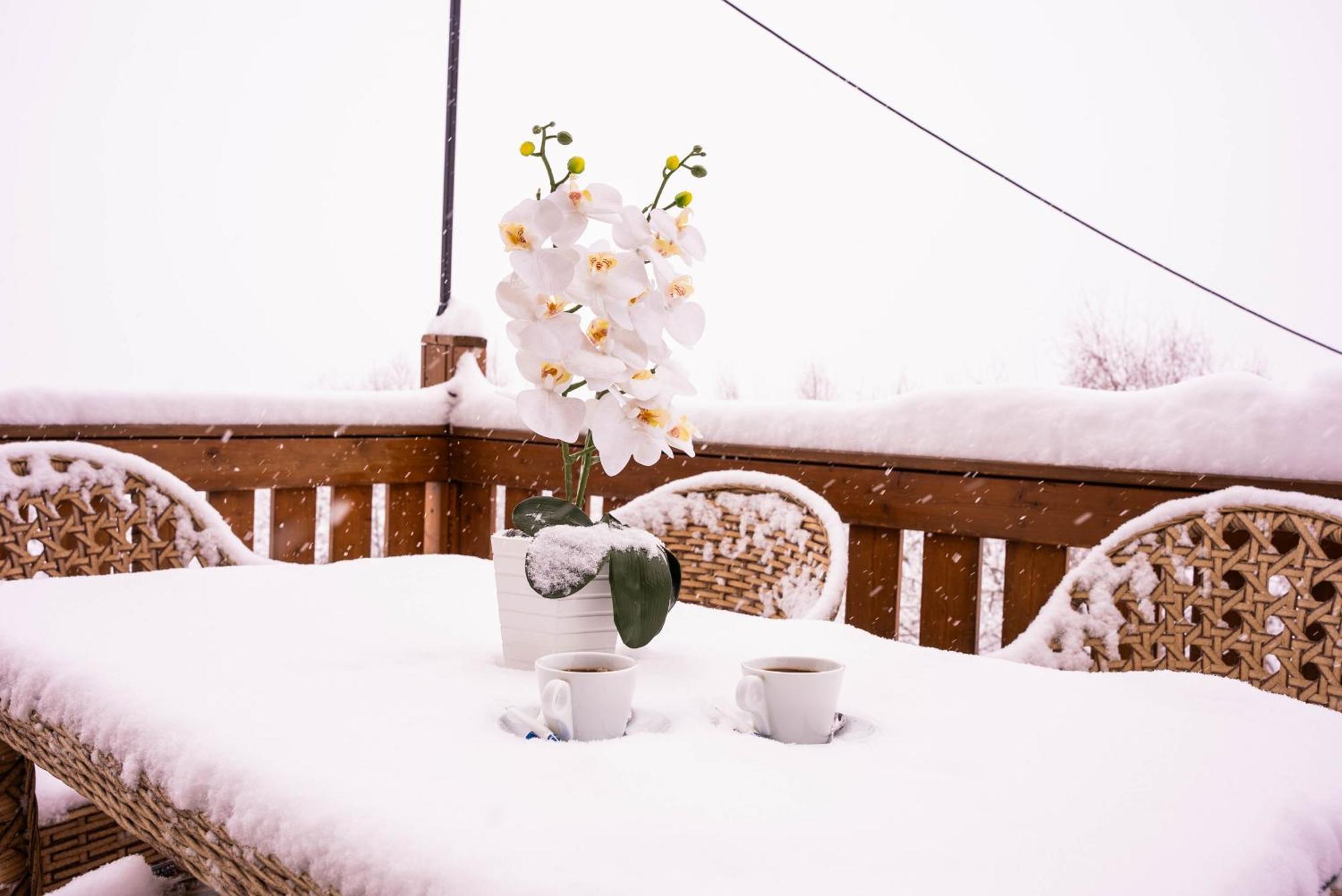 Gudauri Inn 외부 사진 Snow in Jerusalem